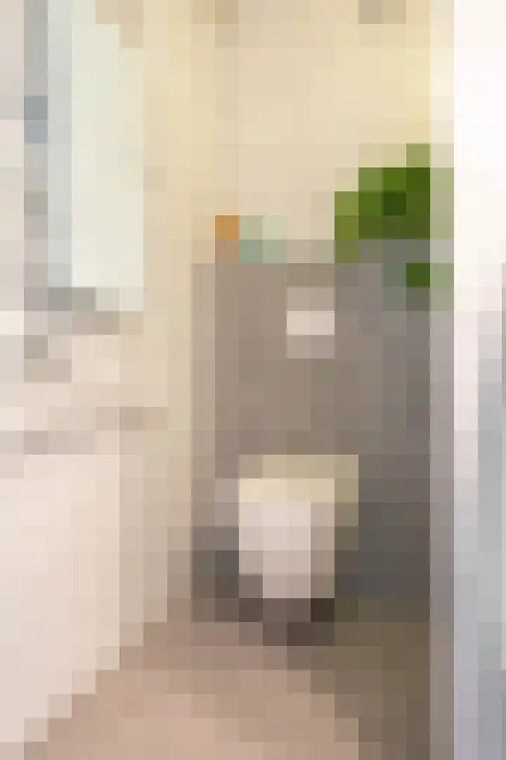 J.M. den Uylstraat 4 Groningen thumbnail 29