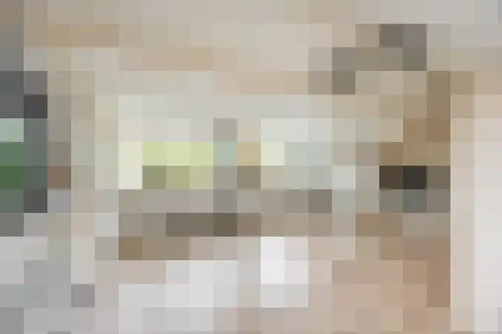 J.M. den Uylstraat 4 Groningen thumbnail 32
