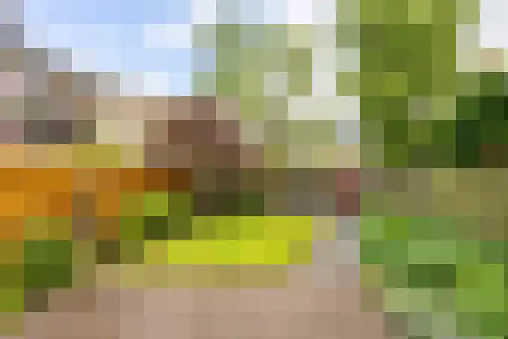 J.M. den Uylstraat 4 Groningen thumbnail 35
