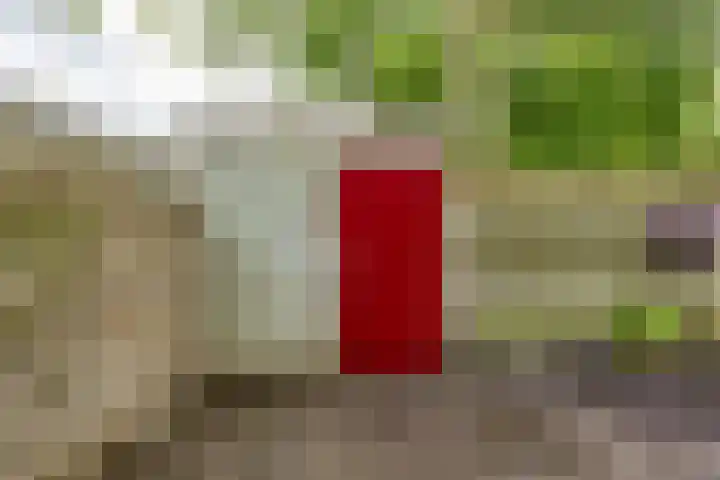 J.M. den Uylstraat 4 Groningen thumbnail 39