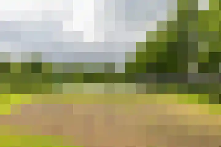J.M. den Uylstraat 4 Groningen thumbnail 43