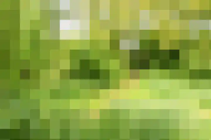 J.M. den Uylstraat 4 Groningen thumbnail 45