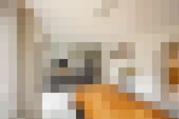 J.M. den Uylstraat 4 Groningen thumbnail 8