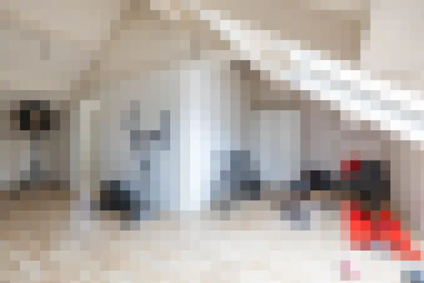 J.M. den Uylstraat 9 Groningen thumbnail 30