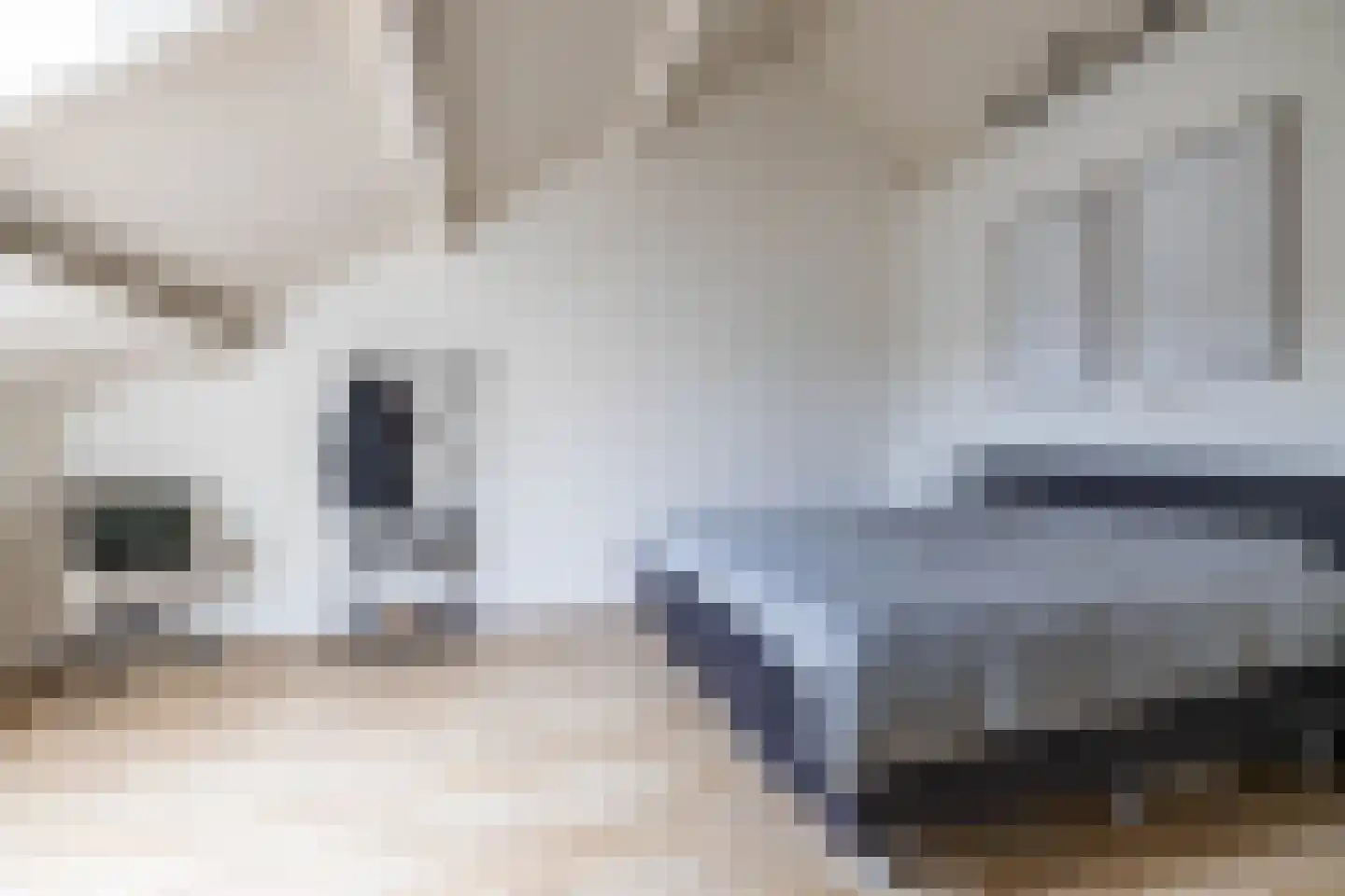 J.M. den Uylstraat 9 Groningen thumbnail 33