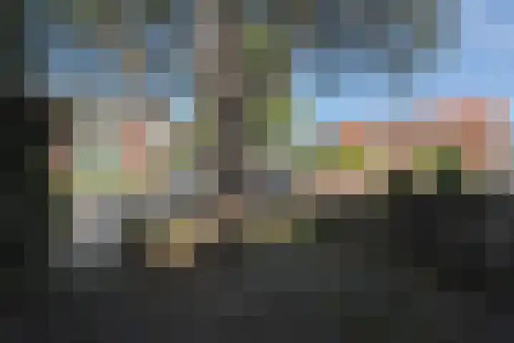 J.M. Halkesstraat 26 Ter Aar thumbnail 19