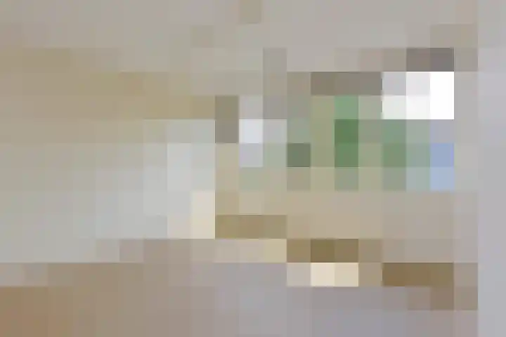 J.M. Halkesstraat 26 Ter Aar thumbnail 8