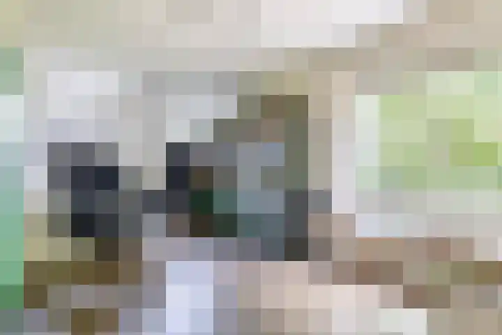 J.M.Houwenstraat 46 Drachten thumbnail 29