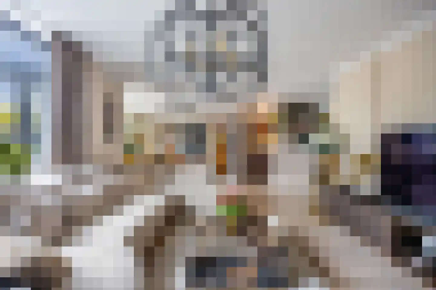 J.M.P.de Biestraat 22 Alkmaar thumbnail 11