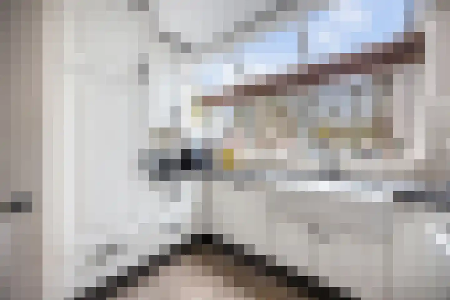 J.M.P.de Biestraat 22 Alkmaar thumbnail 20