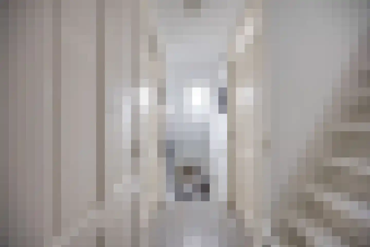 J.M.P.de Biestraat 22 Alkmaar thumbnail 24