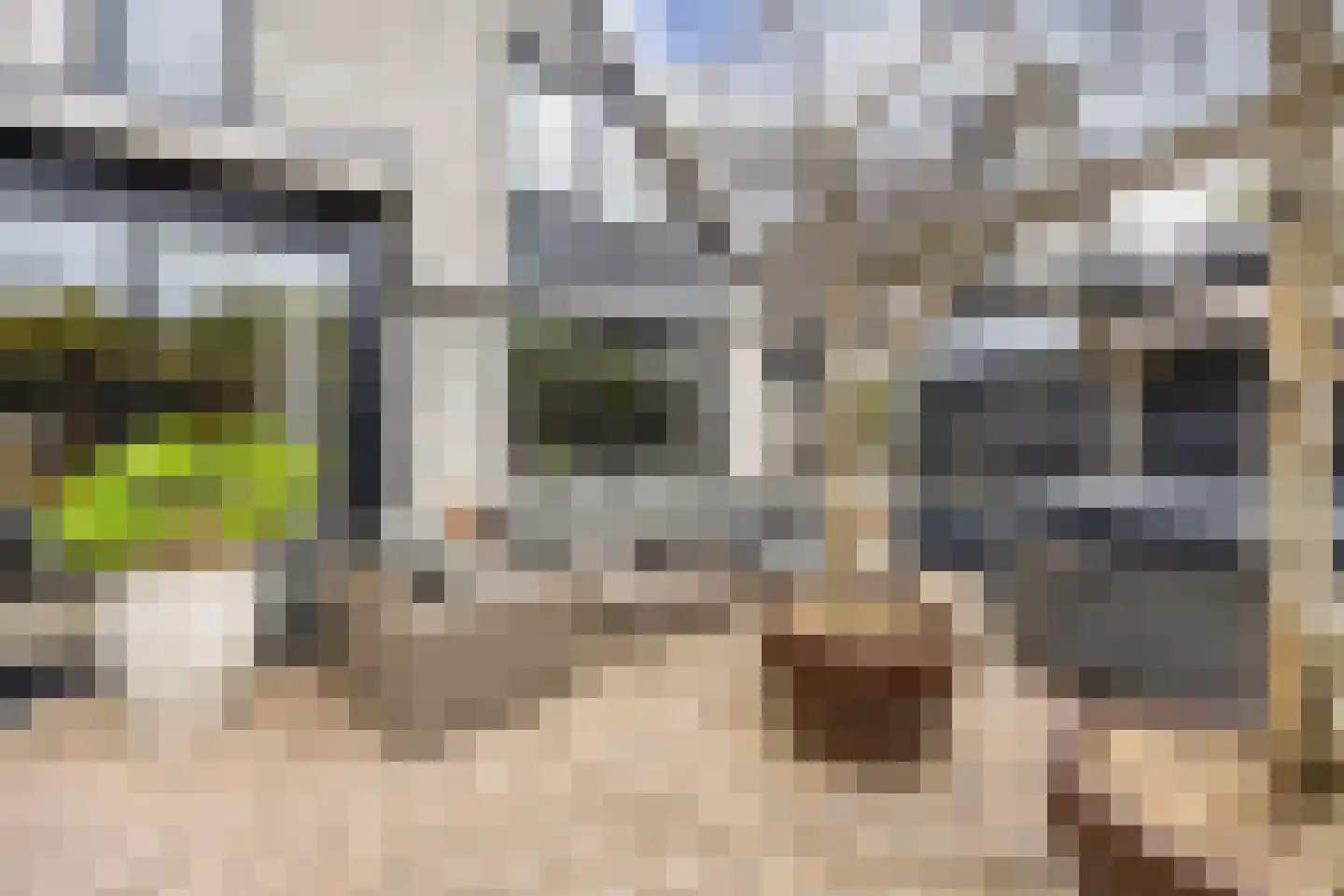 J.M.P.de Biestraat 22 Alkmaar thumbnail 40