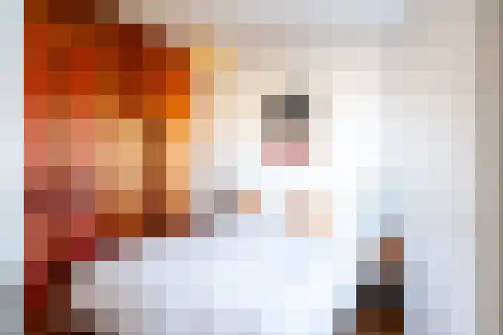 J.M. van der Meylaan 60 Amsterdam thumbnail 30