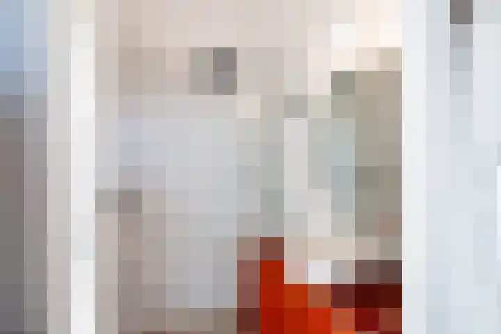 J.M. van der Meylaan 60 Amsterdam thumbnail 37