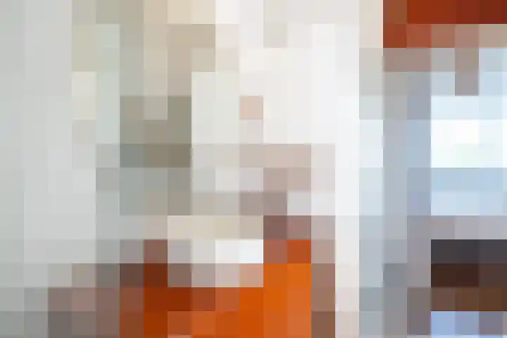 J.M. van der Meylaan 60 Amsterdam thumbnail 38