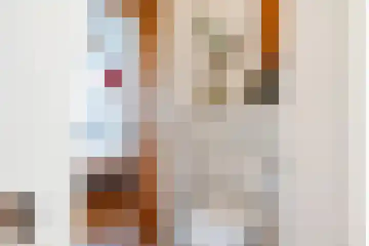 J.M. van der Meylaan 60 Amsterdam thumbnail 39