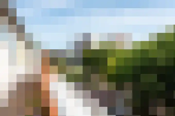 J.M. van der Meylaan 60 Amsterdam thumbnail 43