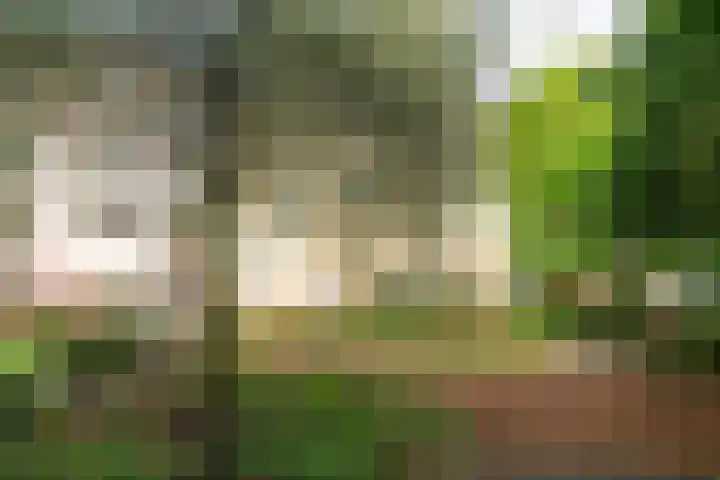 J.M. van der Meylaan 60 Amsterdam thumbnail 46