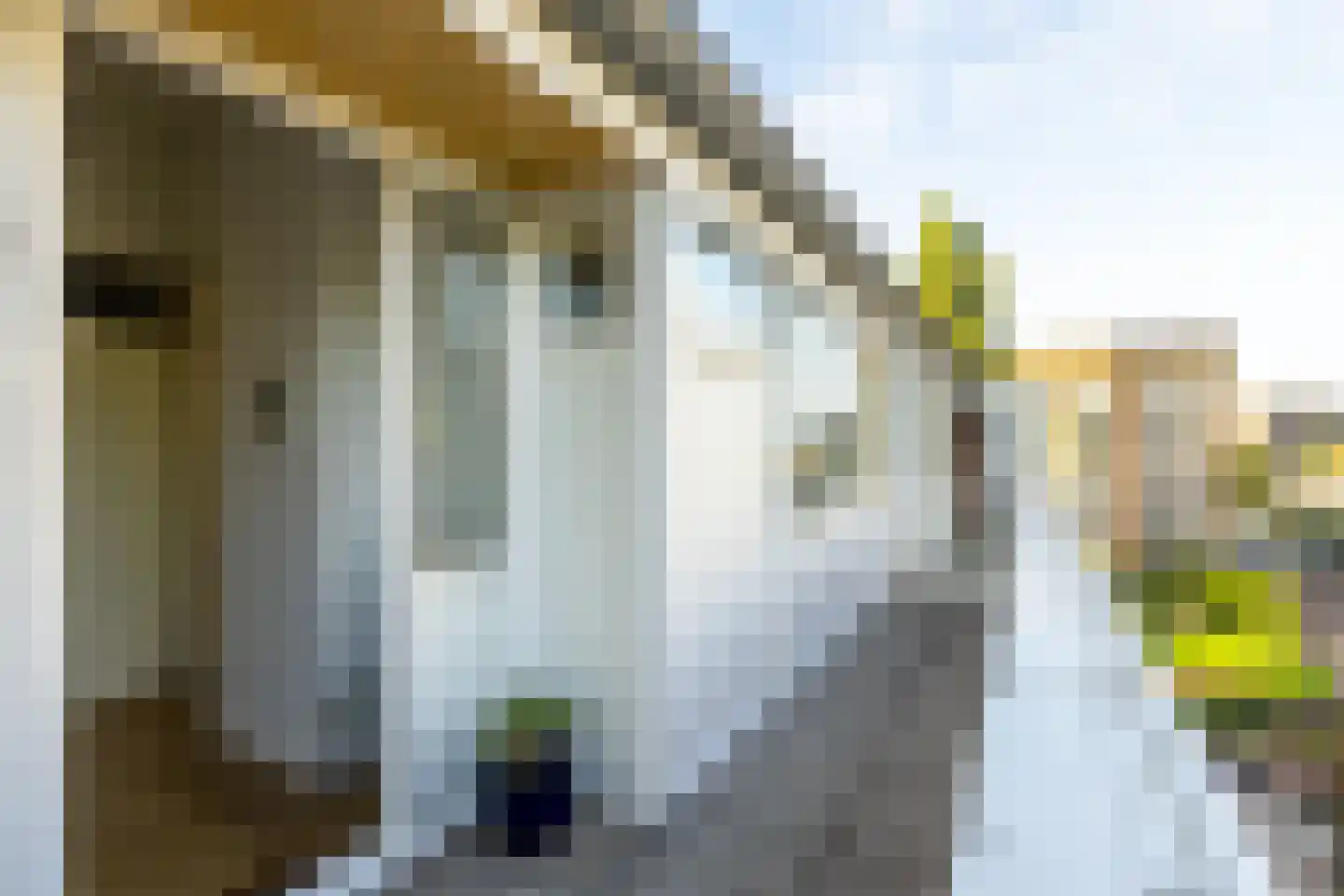 J.M. van der Meylaan 81 Amsterdam thumbnail 37