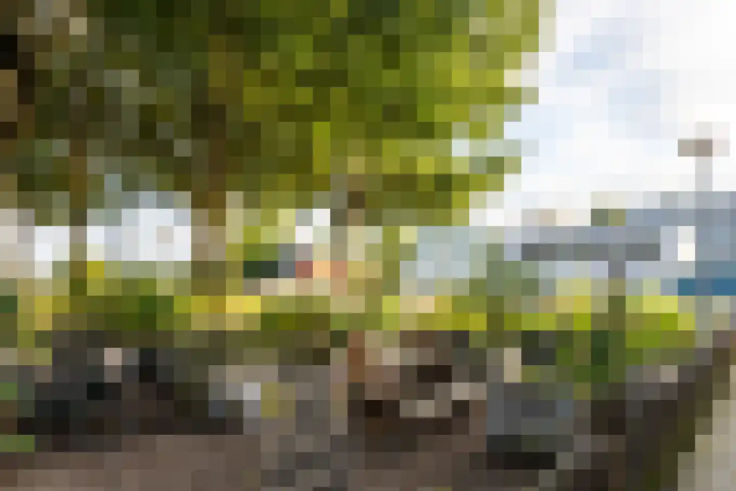 J.M. van der Meylaan 81 Amsterdam thumbnail 47