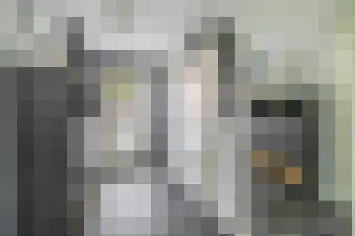 J M van der Meystraat 15 Assendelft thumbnail 10