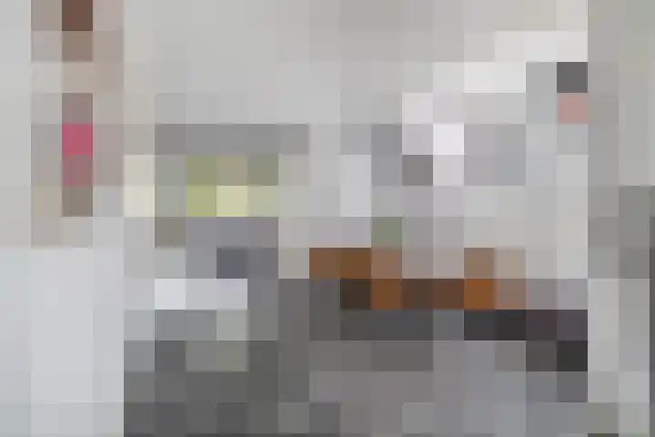 J M van der Meystraat 15 Assendelft thumbnail 11