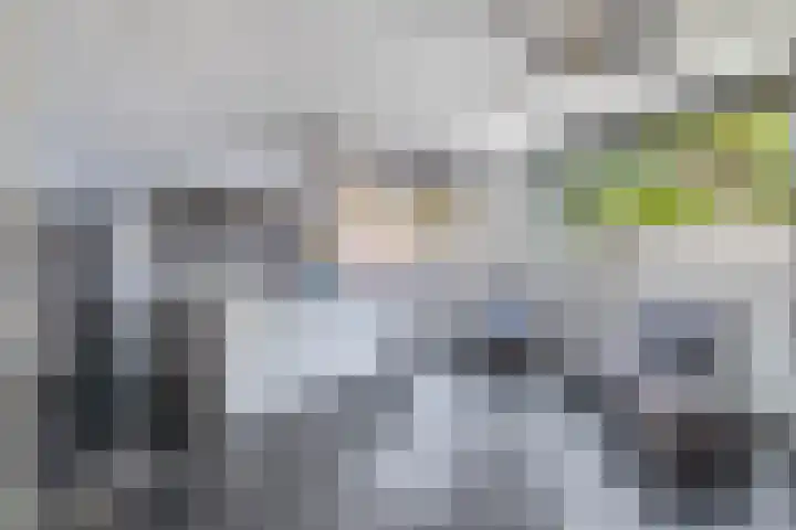 J M van der Meystraat 15 Assendelft thumbnail 12