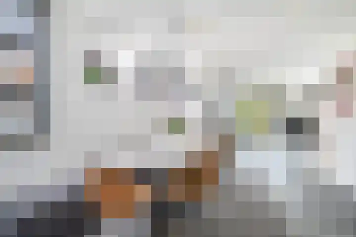 J M van der Meystraat 15 Assendelft thumbnail 15