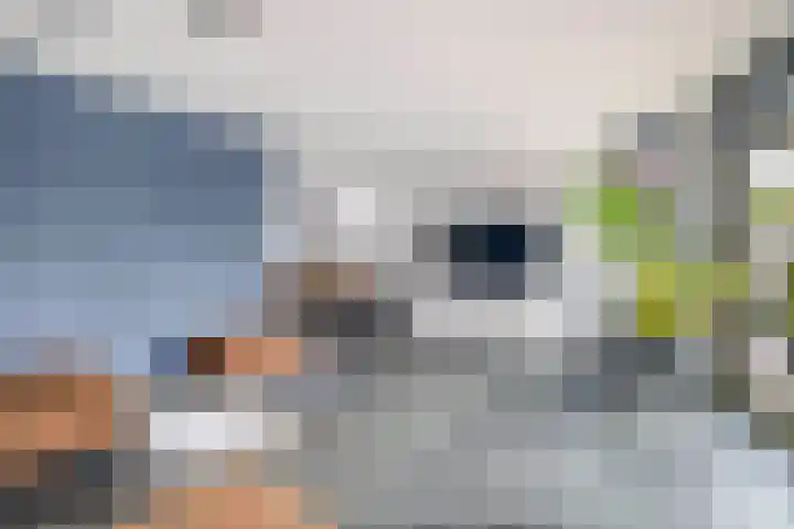 J M van der Meystraat 15 Assendelft thumbnail 16
