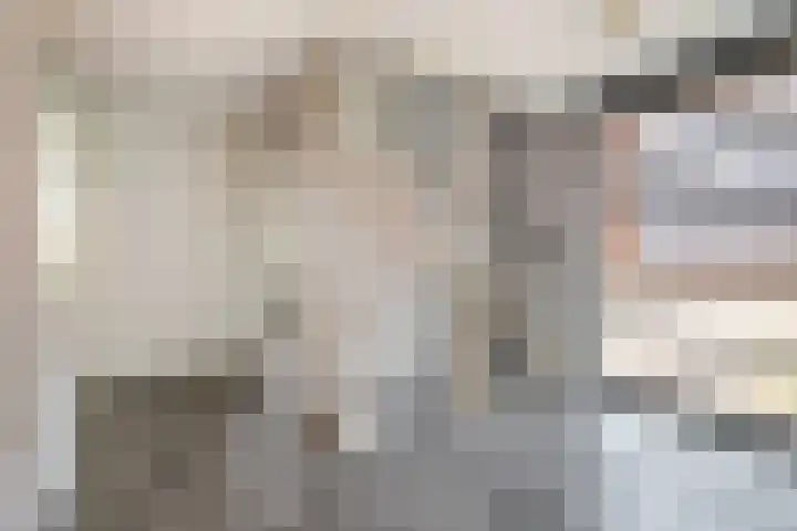J M van der Meystraat 15 Assendelft thumbnail 19