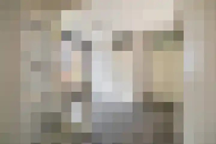 J M van der Meystraat 15 Assendelft thumbnail 20