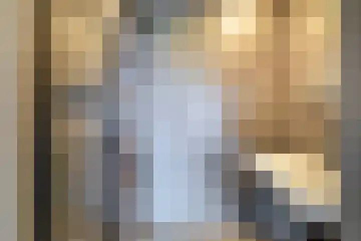 J M van der Meystraat 15 Assendelft thumbnail 23