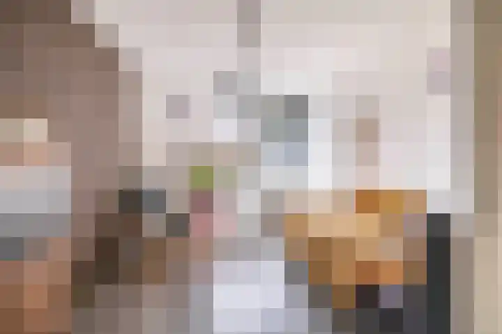 J M van der Meystraat 15 Assendelft thumbnail 26