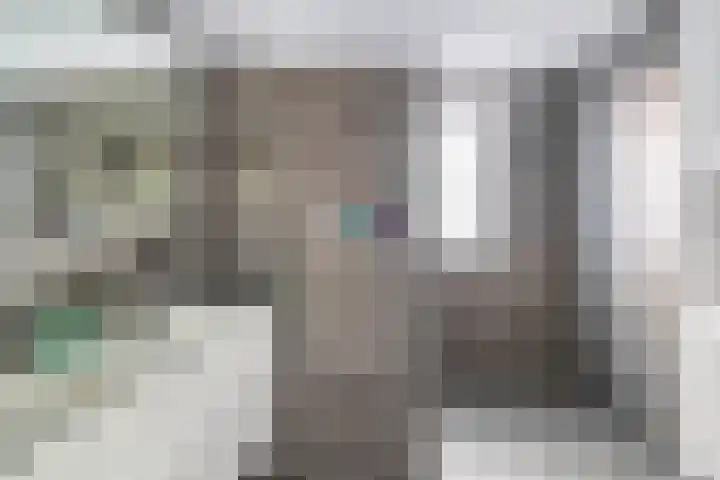 J M van der Meystraat 15 Assendelft thumbnail 27