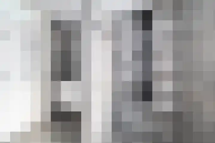 J M van der Meystraat 15 Assendelft thumbnail 28