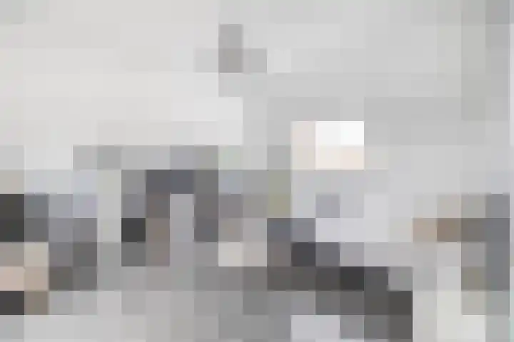 J M van der Meystraat 15 Assendelft thumbnail 32