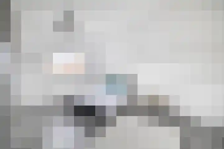 J M van der Meystraat 15 Assendelft thumbnail 34