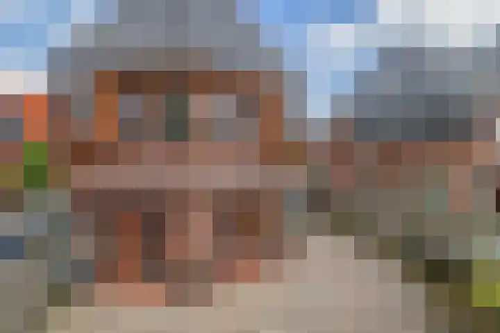 J M van der Meystraat 15 Assendelft thumbnail 37