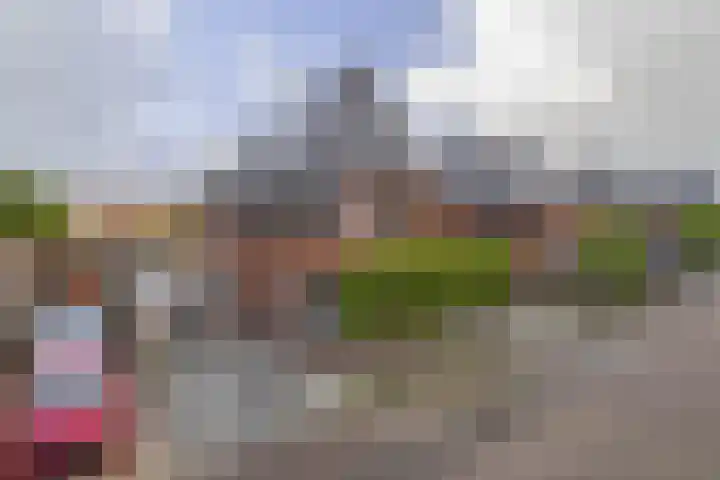 J M van der Meystraat 15 Assendelft thumbnail 5