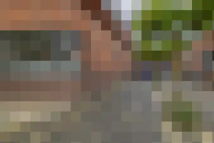 J M van der Meystraat 15 Assendelft thumbnail 8