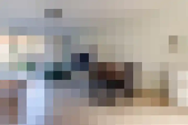 J M van der Meystraat 34 Assendelft thumbnail 12