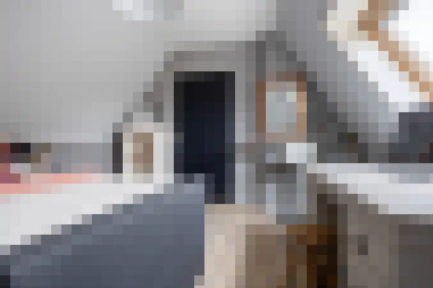 J M van der Meystraat 47 Assendelft thumbnail 30
