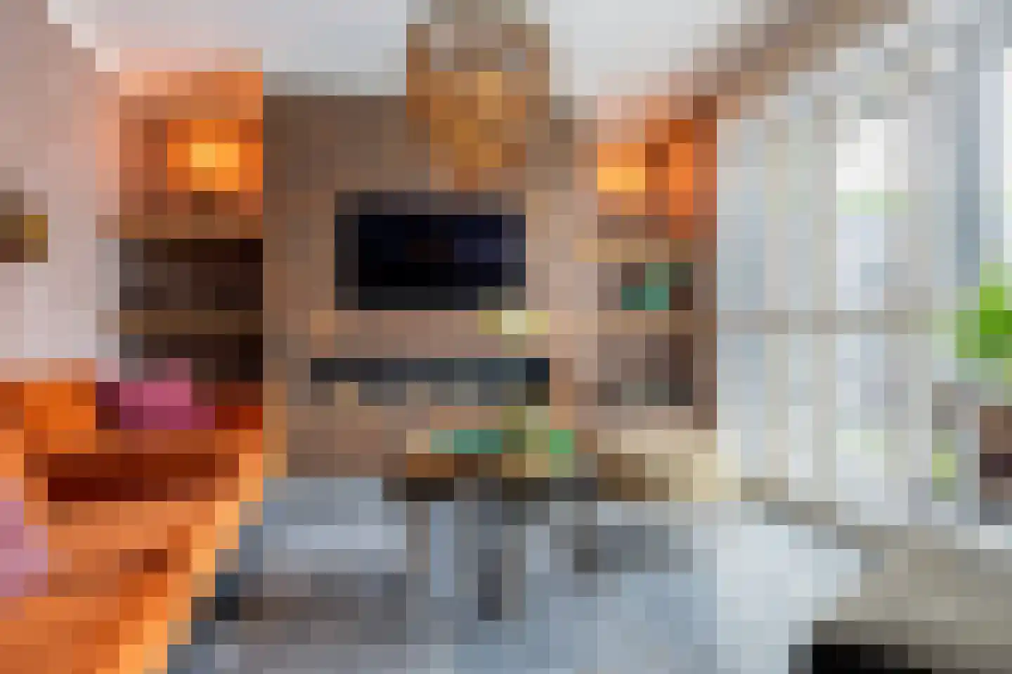 J M van der Meystraat 47 Assendelft thumbnail 6