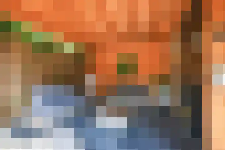 J M van der Meystraat 56 Assendelft thumbnail 11