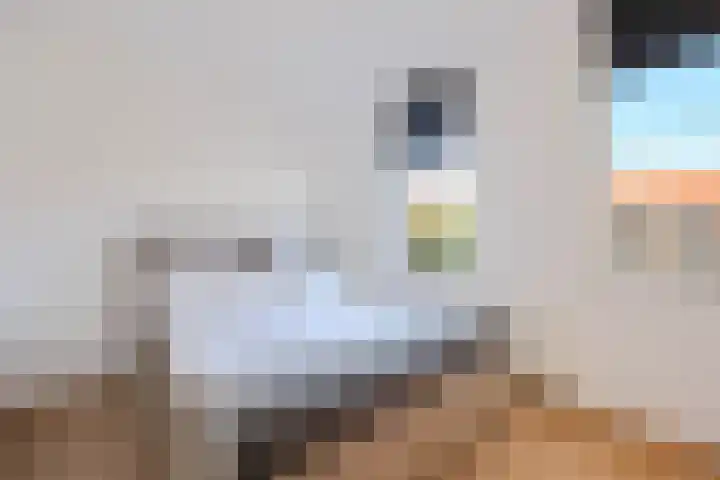 J M van der Meystraat 56 Assendelft thumbnail 16