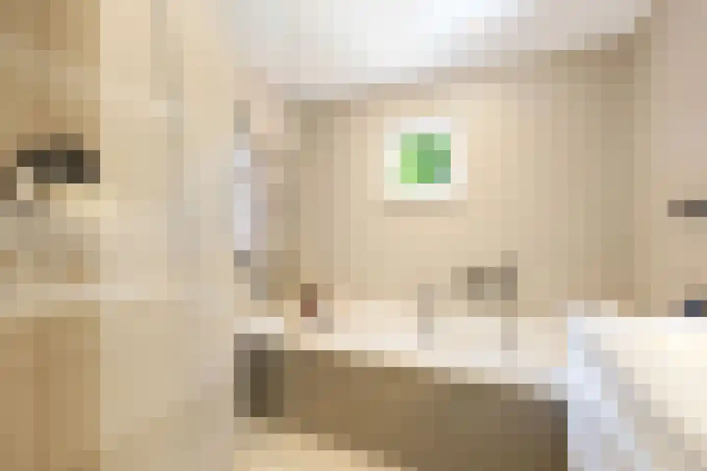 J M van der Meystraat 56 Assendelft thumbnail 19