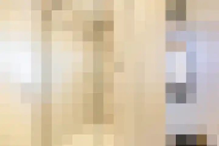 J M van der Meystraat 56 Assendelft thumbnail 20