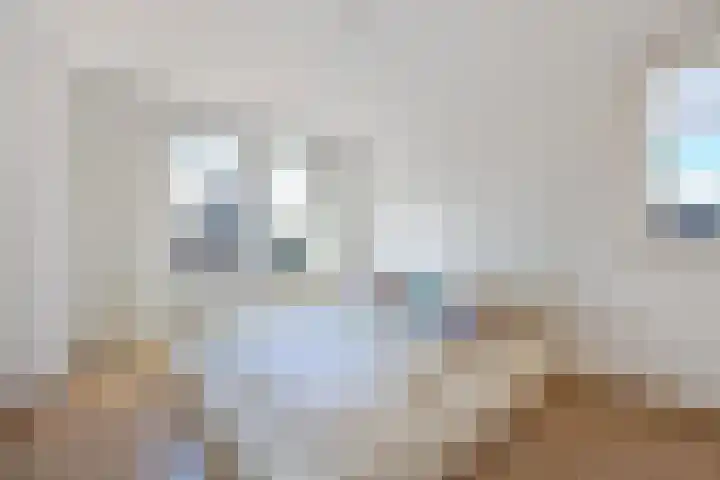 J M van der Meystraat 56 Assendelft thumbnail 23