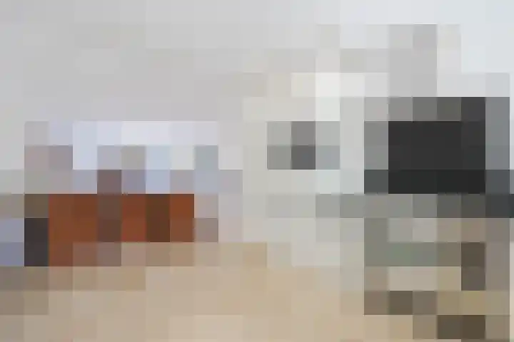J M van der Meystraat 56 Assendelft thumbnail 6