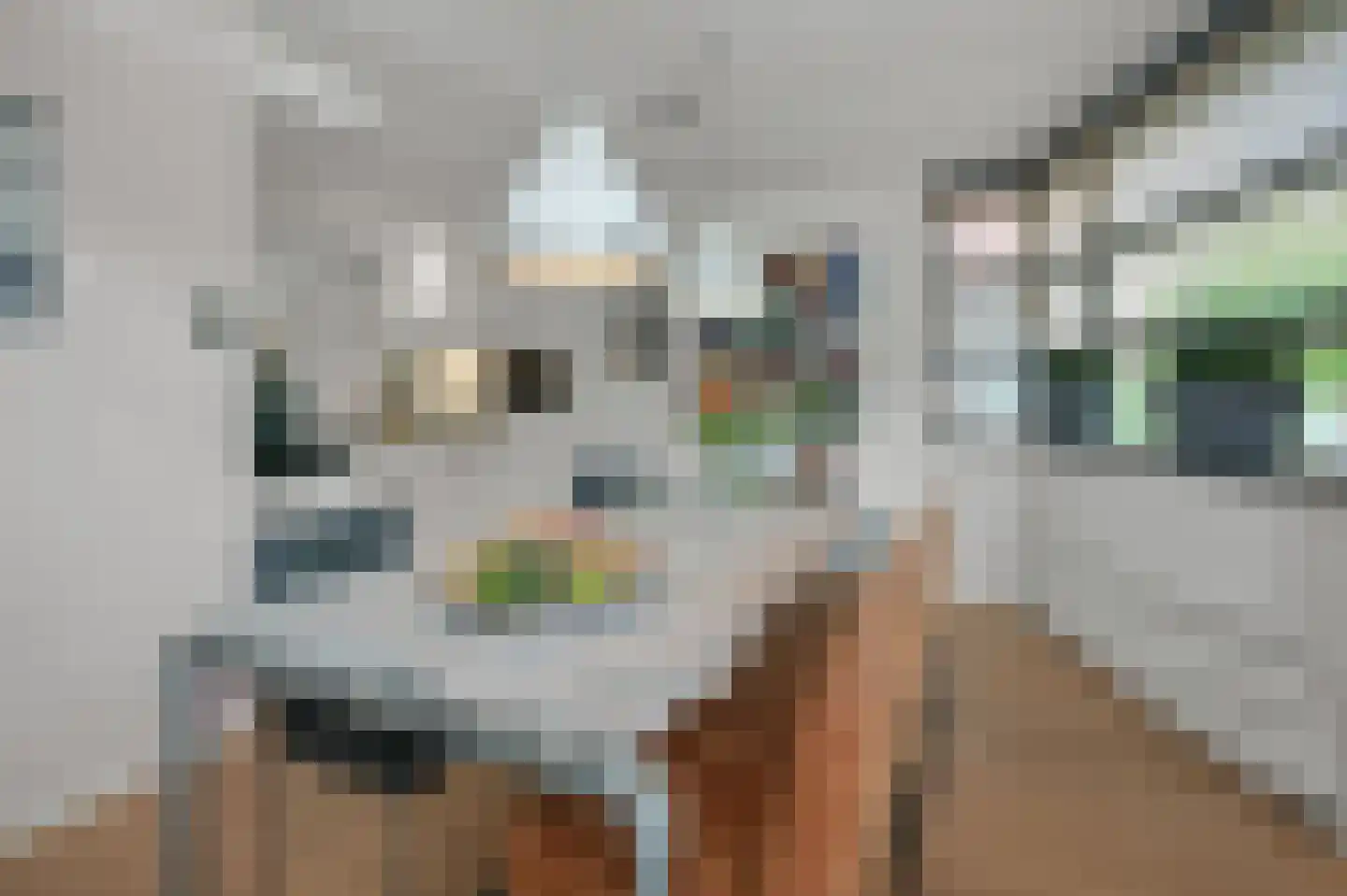 J M van der Meystraat 57 Assendelft thumbnail 11